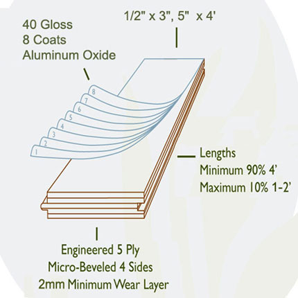 Technical Diagram of Ply Cores, Wear Layer, Aluminum Oxide Finish, Gloss Level, and Dimensions.