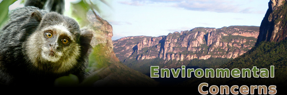Environmental Concerns