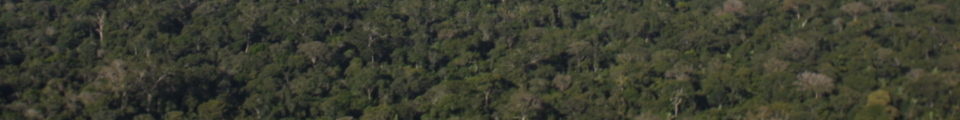 Nova USA Home