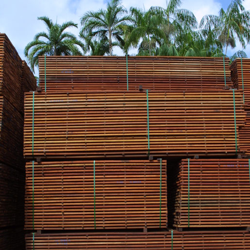 Stacked Lumber Palm Trees