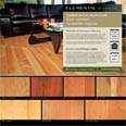 Elemental Classics Board Back