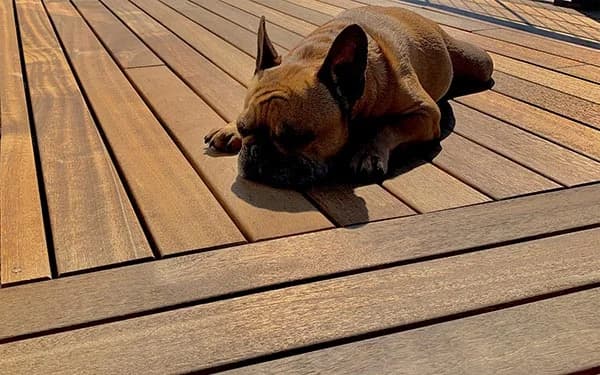 Hardwood Decking with QuickClip Hidden Fasteners and ExoShield Wood Stain Hardwood Decking with QuickClip Hidden Fasteners and ExoShield Wood Stain