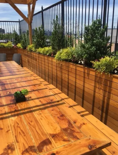 Cedar ExoShield Natural Brooklyn NY