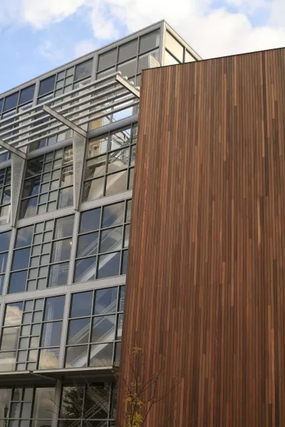 cumaru siding 1