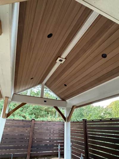 ambara ceiling exoshield snow white 1