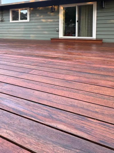 Korina Refinished ExoShield Walnut Sept 2025 LO OR 2