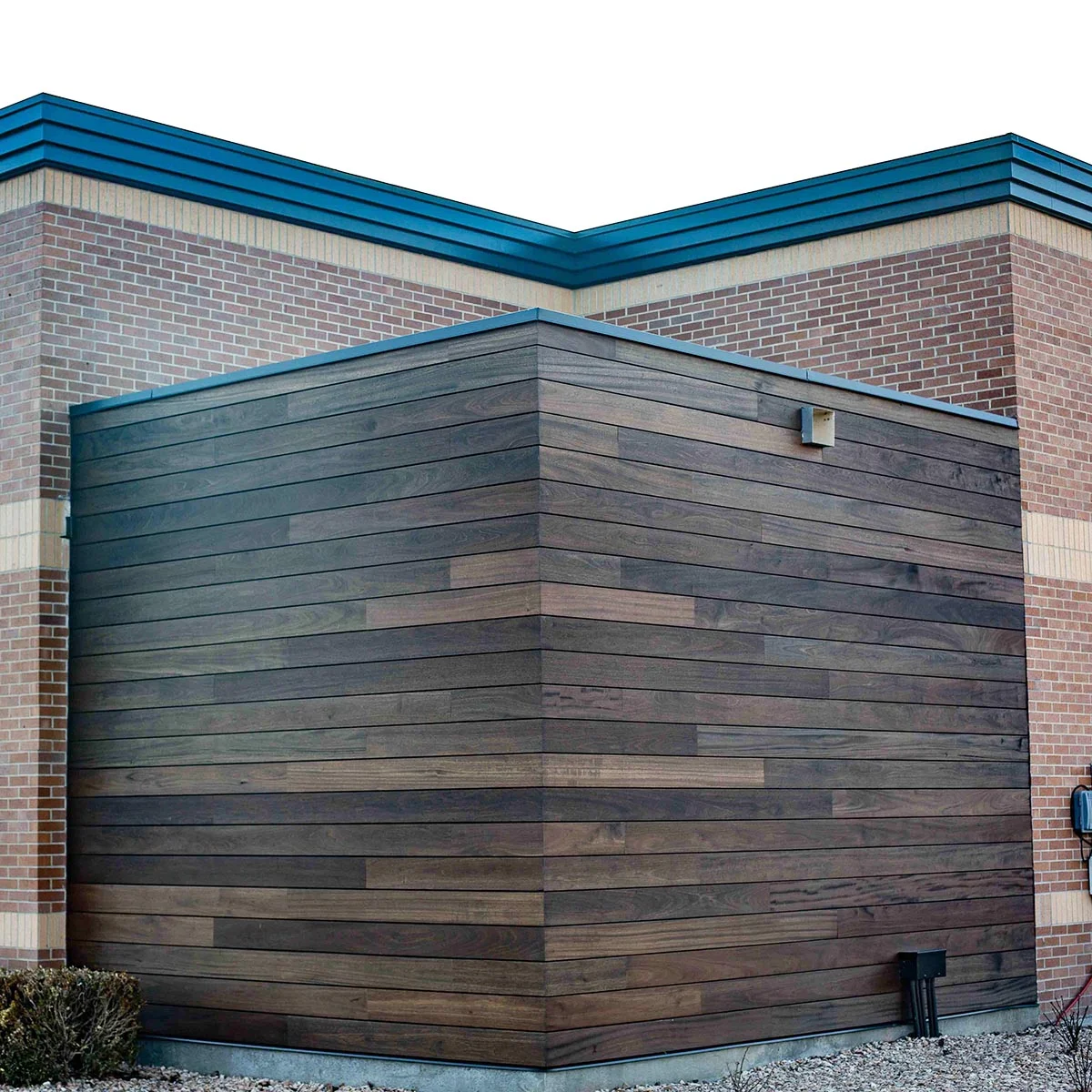ExoShield Gallon Black Walnut Wood Stain Oil