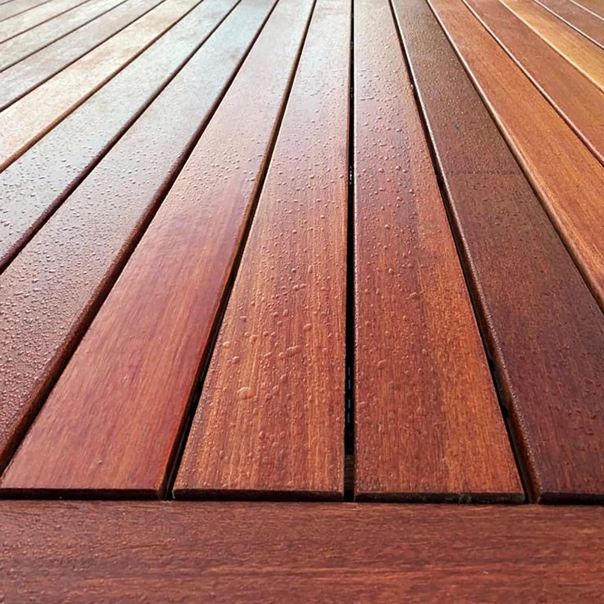 ExoShield Gallon Walnut Wood Stain Oil
