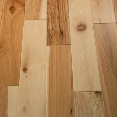 American Hickory, Pecan