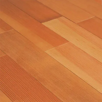 Douglas Fir