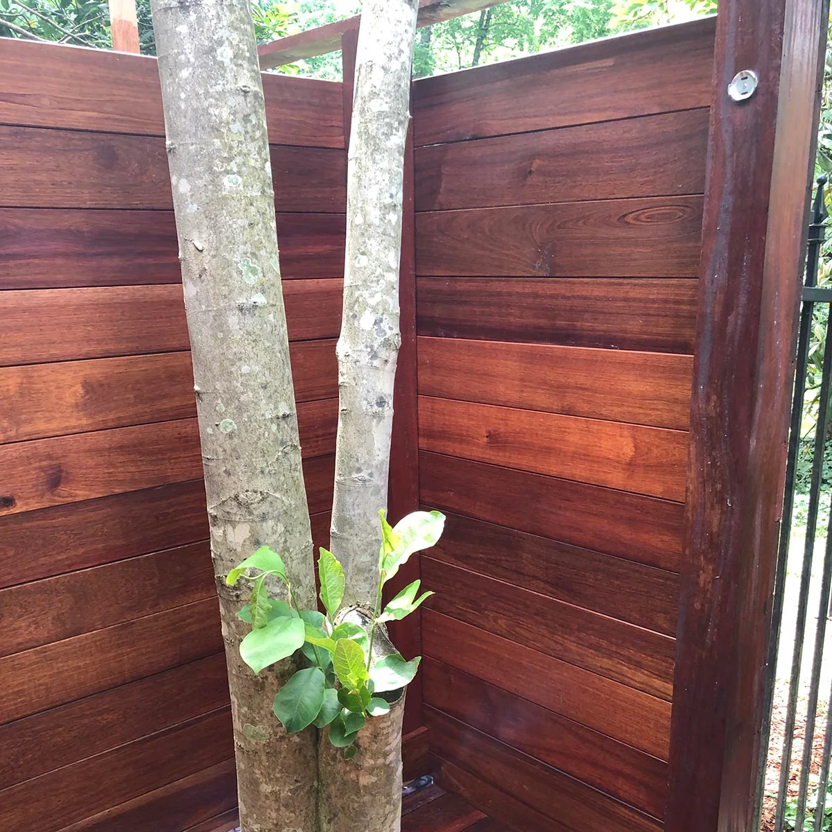 Angelique is a well known timber often used in marine applications.