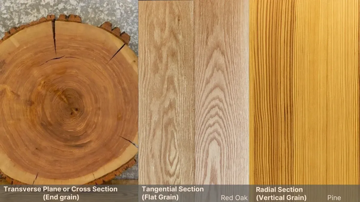 Three photographs side by side: the end-grain face of a log showing concentric growth rings around the pith; a flat-grain red oak board showing the nested cathedral arches of rings cut tangentially; and a vertical-grain pine board showing rings as straight parallel lines.
