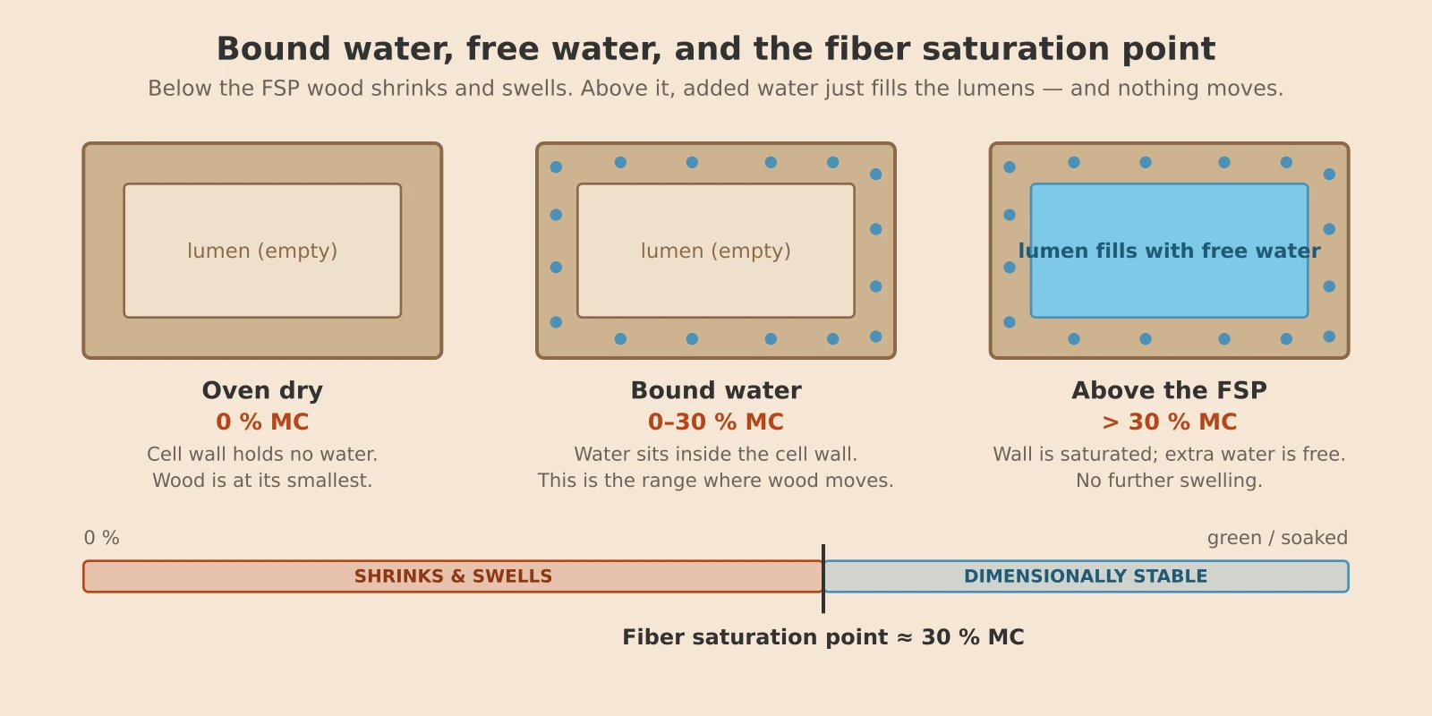 Diagram of a wood cell at 0% moisture content, at 0–30% with bound water in the cell wall, and above 30% with free water filling the lumen, on an axis marking the fiber saturation point at about 30%.