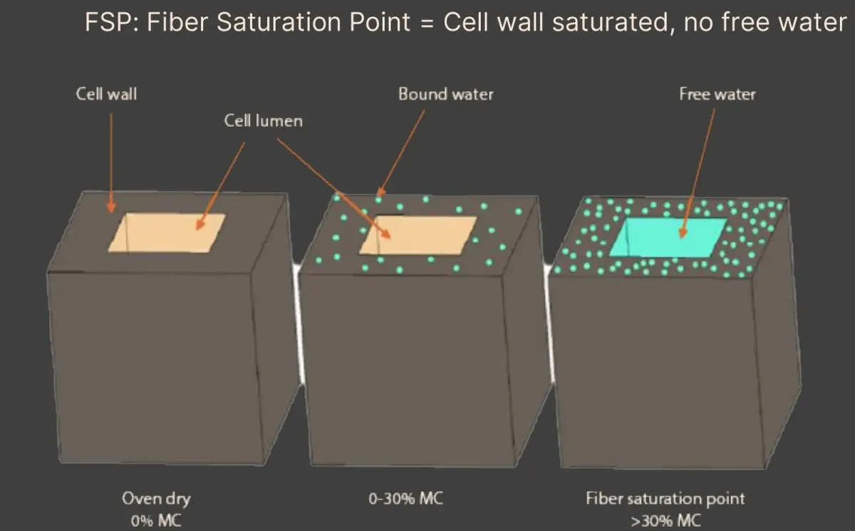 Three wood cells side by side: oven dry at 0% moisture content with an empty lumen, at 0–30% moisture content with bound water held in the cell wall, and at the fiber saturation point above 30% with the cell wall saturated and free water filling the lumen.