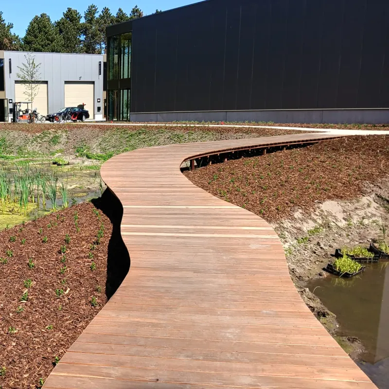 Doju Hardwood Walkway