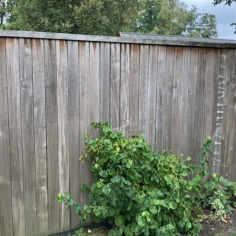Doju® Fence - Naturally Silvers like Ipe
