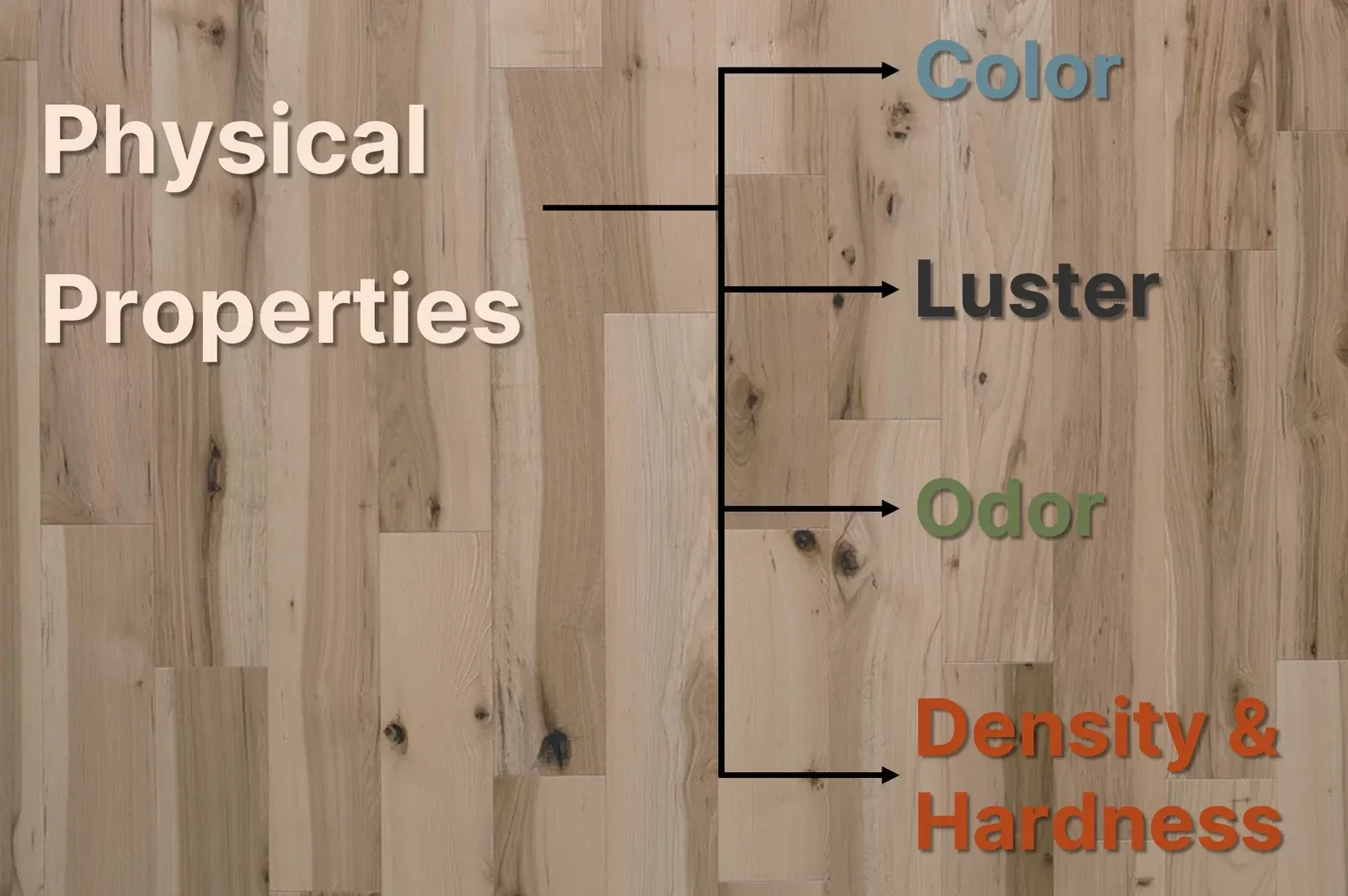 A bracket diagram over a photograph of pale hardwood flooring: the words Physical Properties branch to four terms — Color, Luster, Odor, and Density & Hardness.