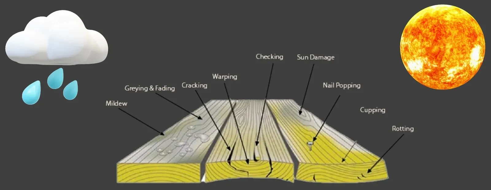 A diagram of three weathered deck boards between a rain cloud on the left and the sun on the right, drawn split, cupped and cracked, with nine callouts: mildew, greying and fading, cracking, warping, checking, sun damage, nail popping, cupping and rotting.