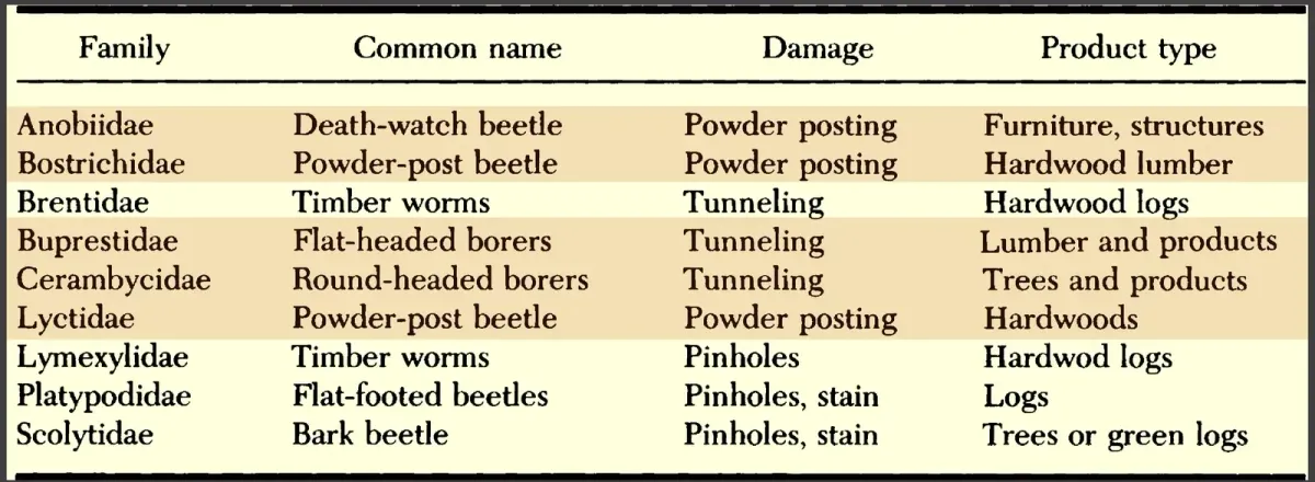A table of wood-destroying Coleoptera with columns for family, common name, damage and product type. Nine families are listed: Anobiidae and Bostrichidae and Lyctidae, all powder posting, in furniture, structures and hardwood lumber; Brentidae, Buprestidae and Cerambycidae, all tunneling, in hardwood logs, lumber and trees; and Lymexylidae, Platypodidae and Scolytidae, all pinholes with or without stain, in logs, hardwood logs and green logs.