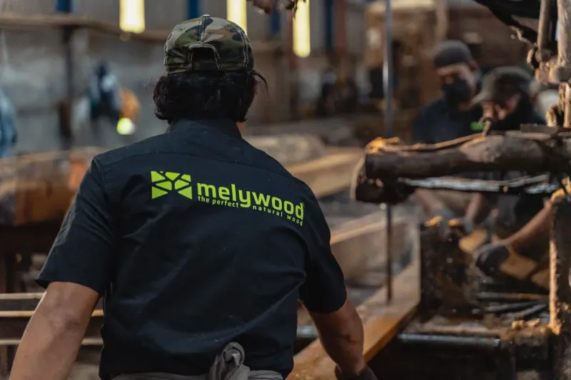 Sawing Merbau at the Melywood mill in Indonesia