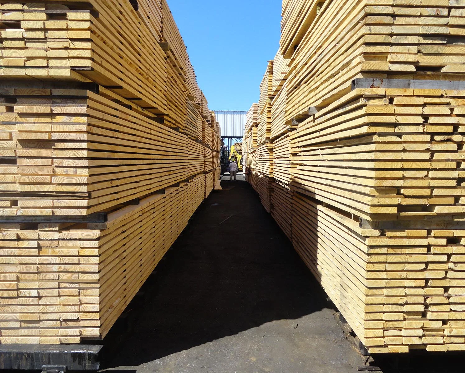 Lumber Stacked With Hardwood Kiln Sticks
