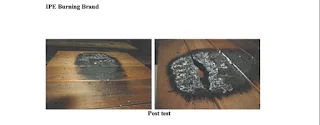 Ipe Flame Spread Burning Brand Test