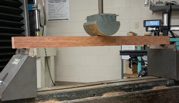 Wood Science 101