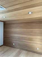 ambara-unfinished-TNG-paneling-ceiling-1.jpg