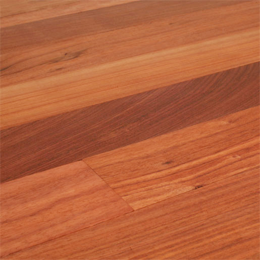 >Para Rosewood  ParaRW_USB314Fl.jpg