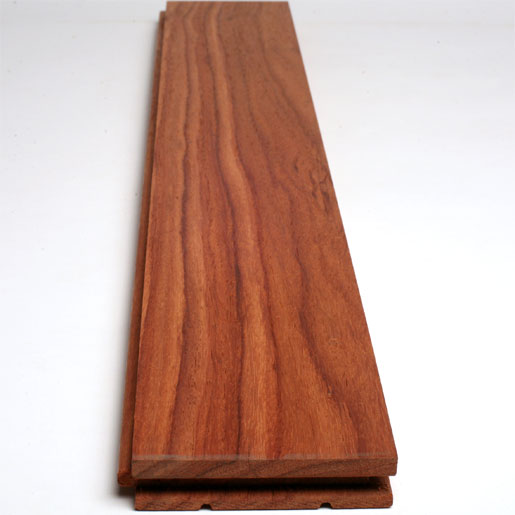 >Para Rosewood  ParaRW_USB314Pl.jpg