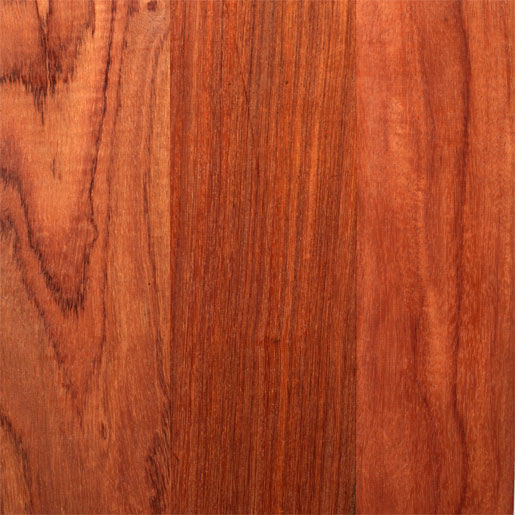 >Para Rosewood  ParaRW_USB314Sw.jpg