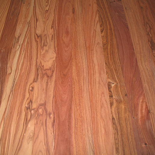 >Para Rosewood  Para_Rosewood-515.jpg