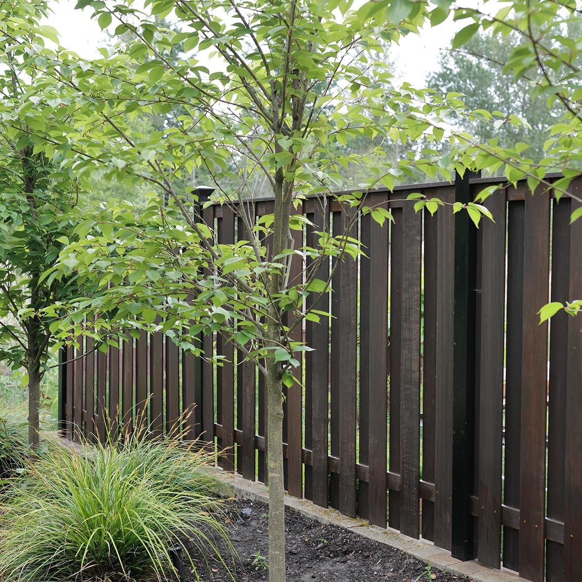 Batu Hardwood Fencing