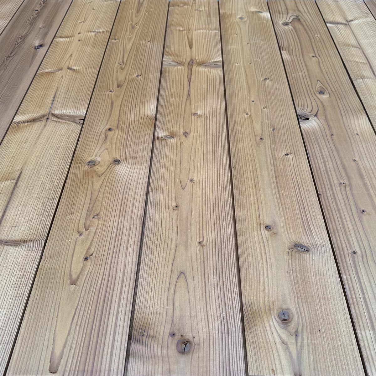 Nordic Spruce Forest - Sustainable Forestry in Northern Europe