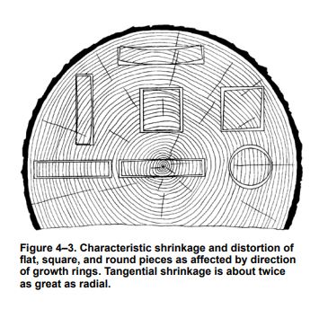 Characteric Shrinkage and Distortion of Sawn Lumber as viewed from the end of the tree