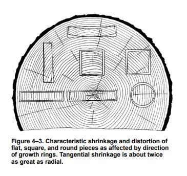 Characteristic Shrinkage and Distortion of Sawn Lumber as viewed from the end of the tree